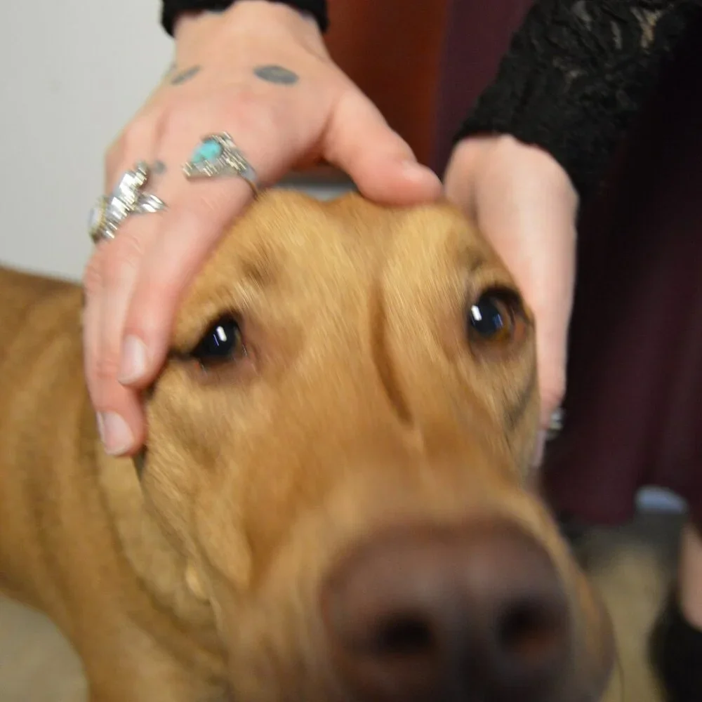 Vintage Navajo Sterling Silver and Turquoise Ring, Size 7 - Picture 4 of 8